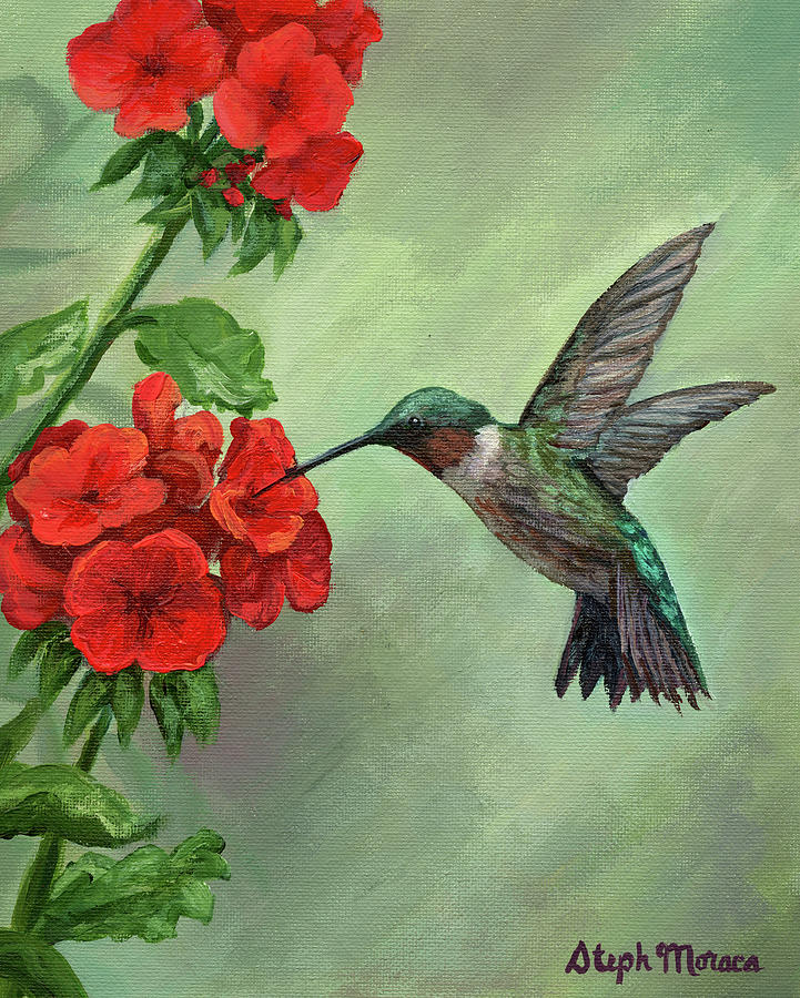Hummingbird Painting - Hummingbird Happiness by Steph Moraca