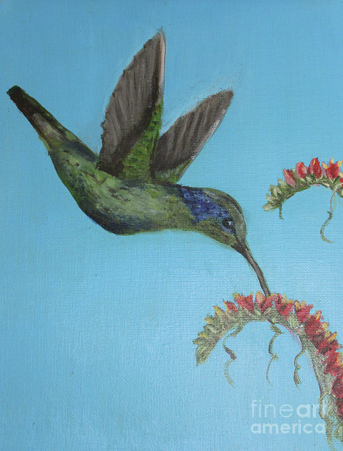 Hummingbird Beauty Painting