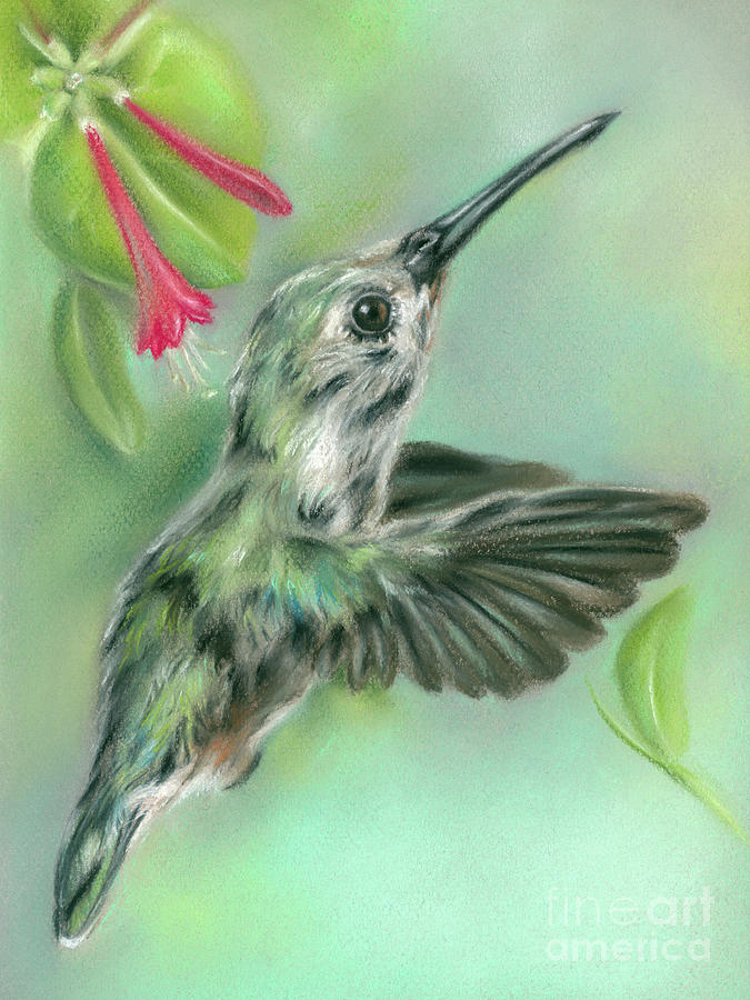 Hummingbird in Flight Near Honeysuckle Painting by MM Anderson