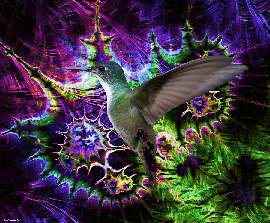 Hummingbird in the Cosmos Digital Art by Dan Twyman