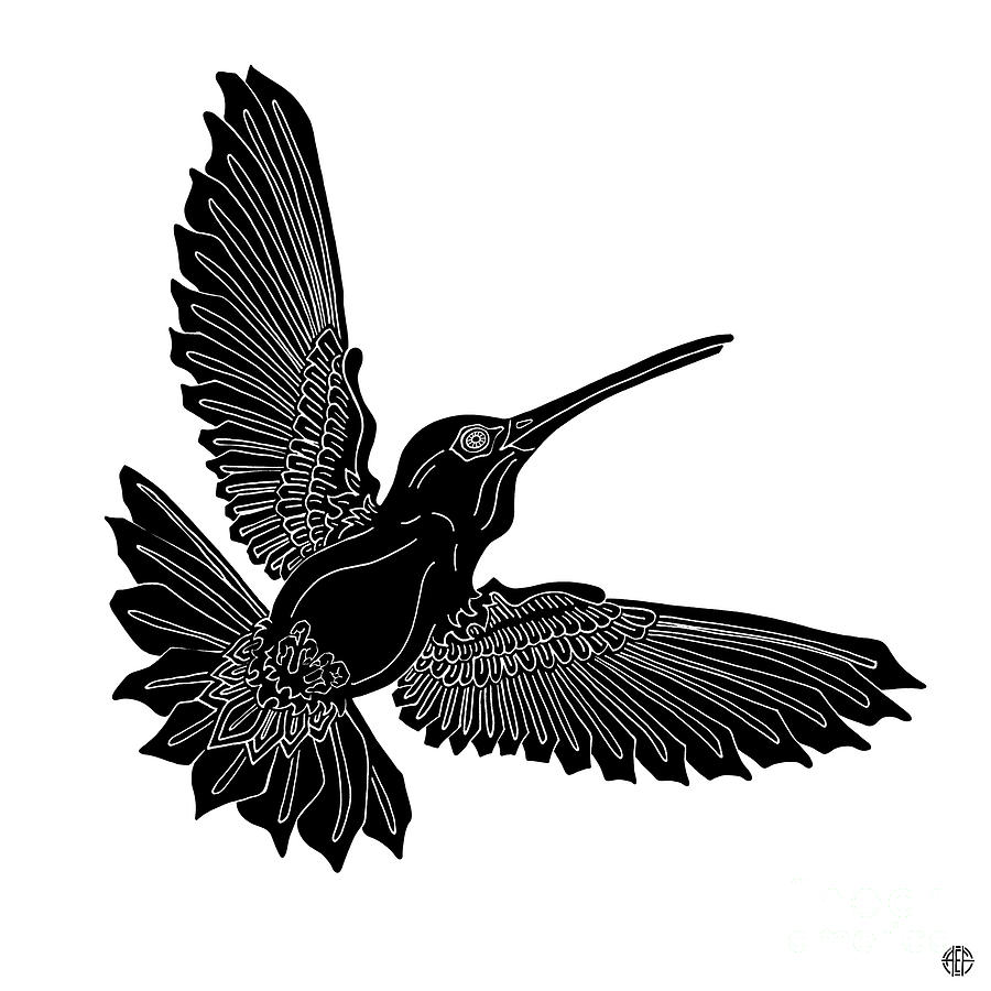 Hummingbird Ink 5  Drawing by Amy E Fraser