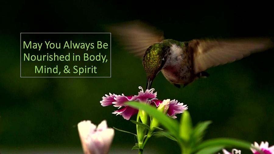 Hummingbird Nourished Mixed Media by Nancy Ayanna Wyatt