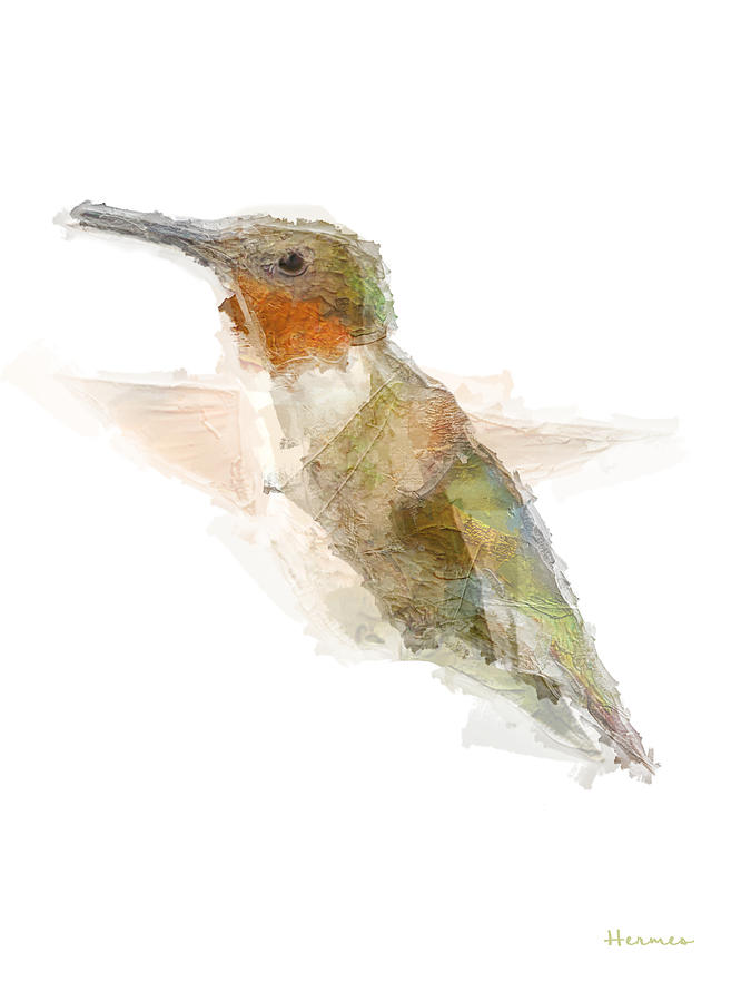 Hummingbird Painted with Palatte Knife Photograph by Hermes Fine Art
