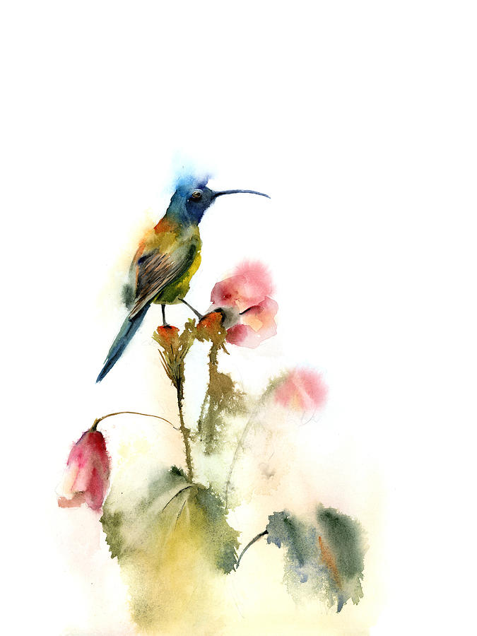 Hummingbird Painting - Hummingbird by Paintis Passion