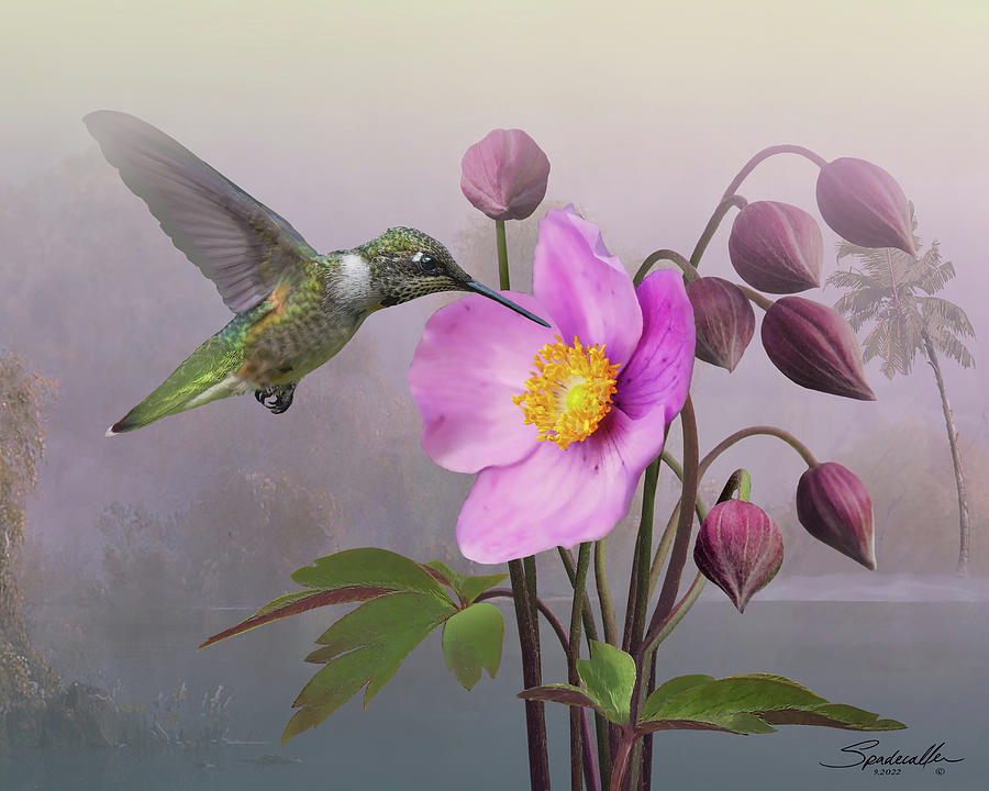 Hummingbird Paradiso  Digital Art by Spadecaller