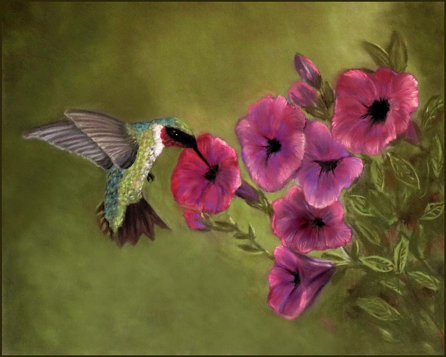 Hummingbird Pastel Painting Painting by Sandra Huston