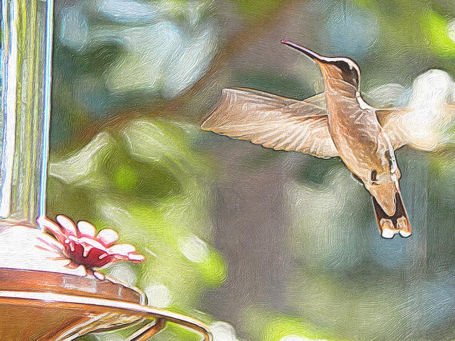 Hummingbird PhotoArt Photograph by Robert Sharpe Hummingbird PhotoArt Photograph by Robert Sharpe