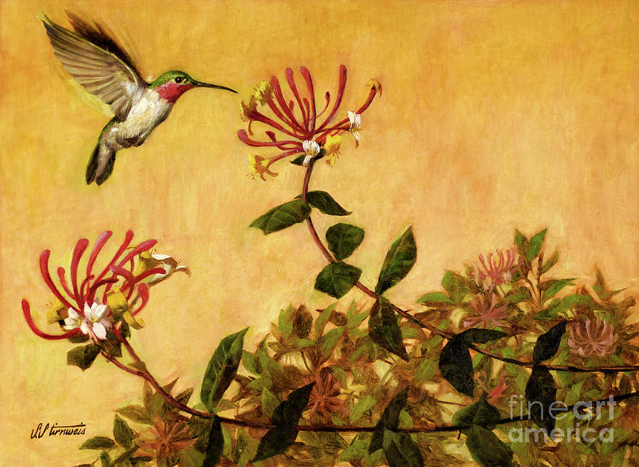 Hummingbird Painting by Shannon Stirnweis