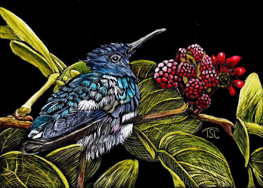 Hummingbird Painting by Tammy Crawford