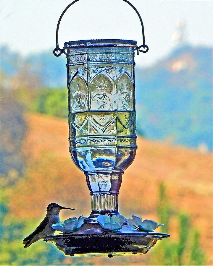 Hummingbird Visit Photograph by Andrew Lawrence