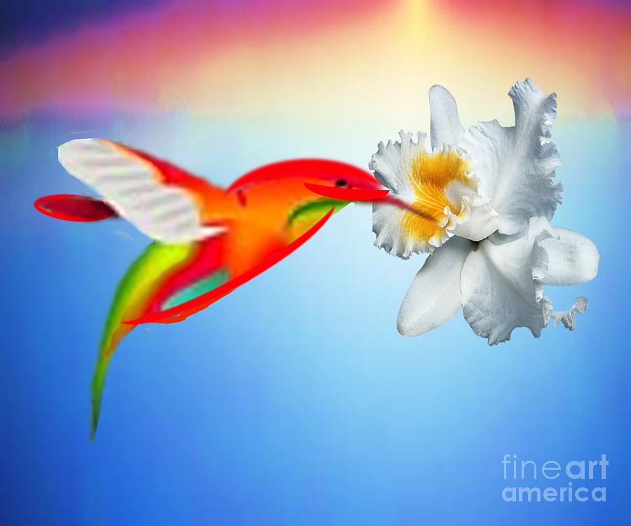 Hummingbird Visiting A Flower Digital Art