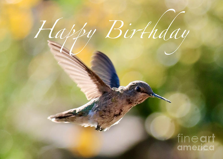 Hummingbird with Beautiful Bokeh Birthday Card Photograph by Carol Groenen