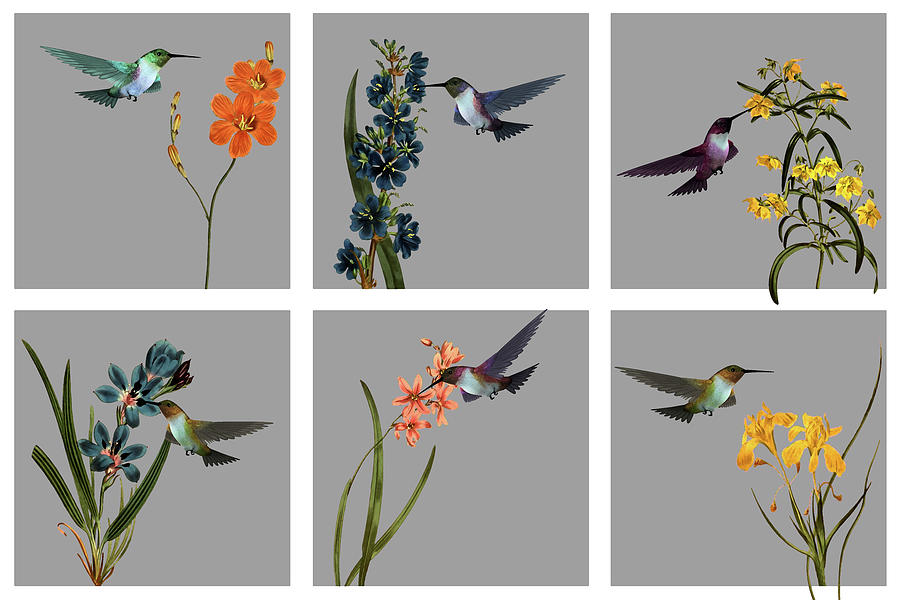 Hummingbirds In The Garden Hexaptych Dry Brush Digital Art by David Dehner