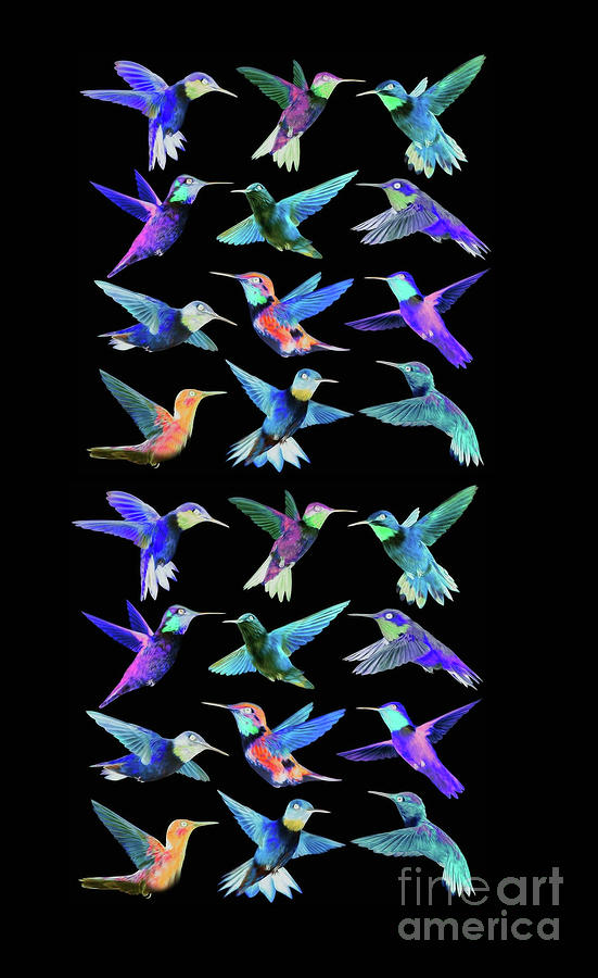 Hummingbirds on Black  Digital Art by Elaine Manley
