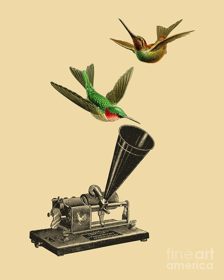 Bird Digital Art - Hummingbirds With Phonograph by Madame Memento