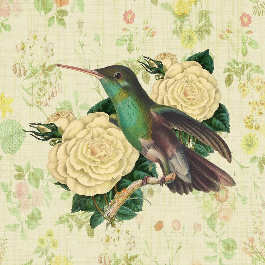 Hummingbirds with white rosesvintage design Painting by Lee Brandon ...