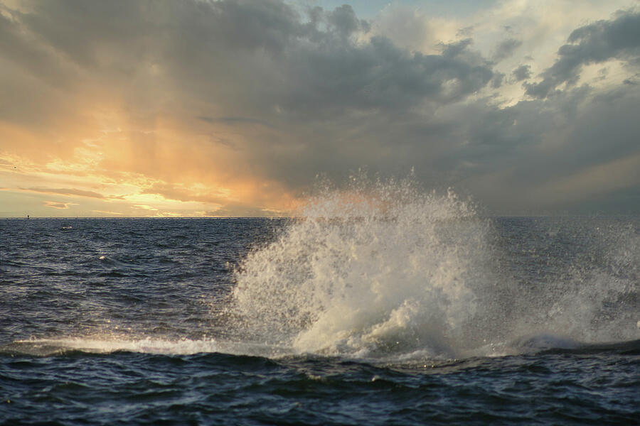 Sunset Photograph - Humpback Breach by Pete Federico Sunset Photograph - Humpback Breach by Pete Federico