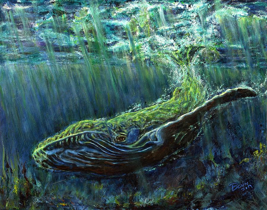 Humpback Whale Painting by John Bohn