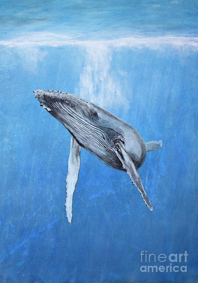 Humpback Whale Painting by Phillip Jones