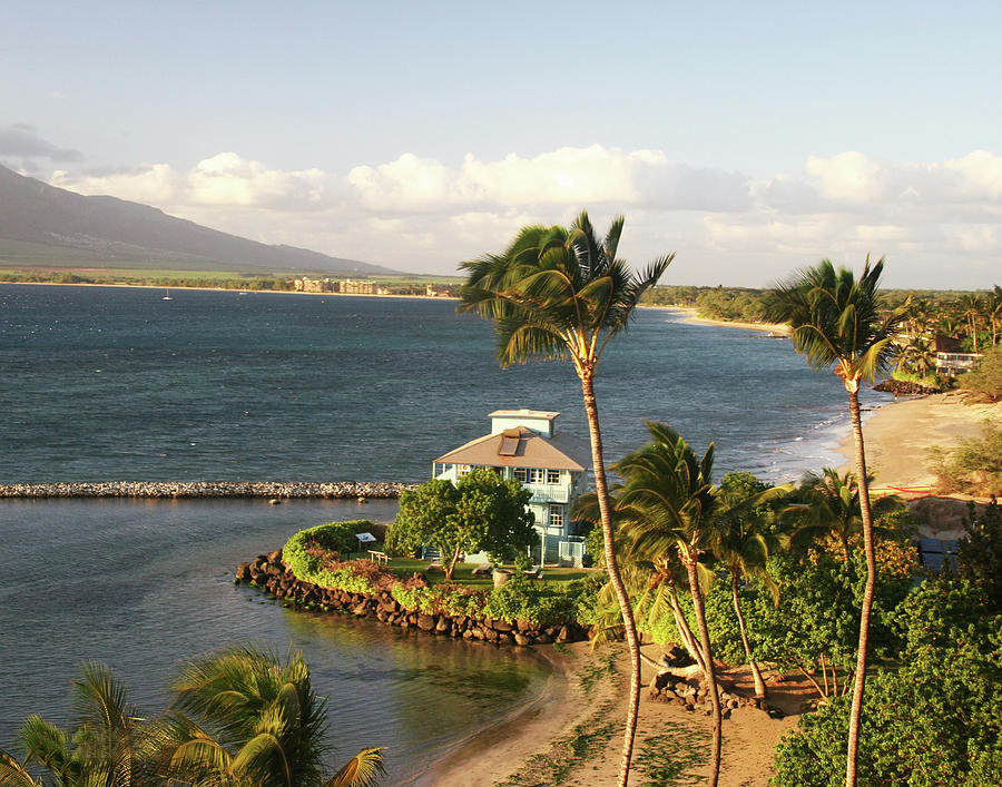 Humpback Whale Sanctuary on Maui Photograph by Daniel Baralt - Pixels