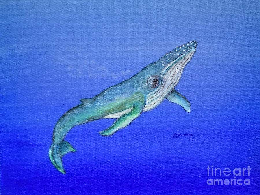 Humpback Whale Painting by Shirley Dutchkowski