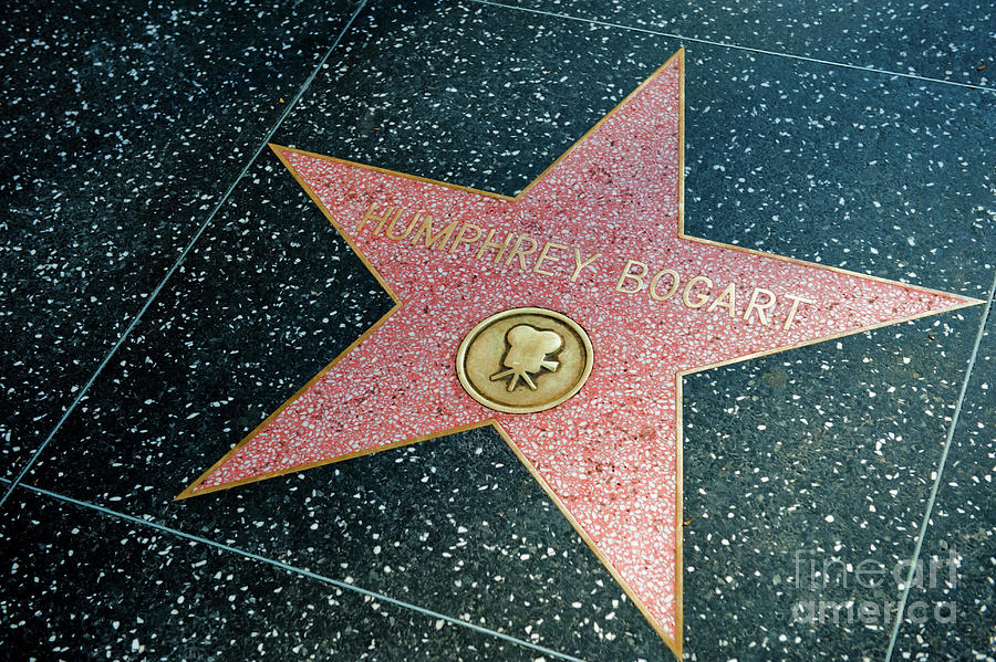 Humphrey Bogart Star Hollywood Photograph by David Zanzinger
