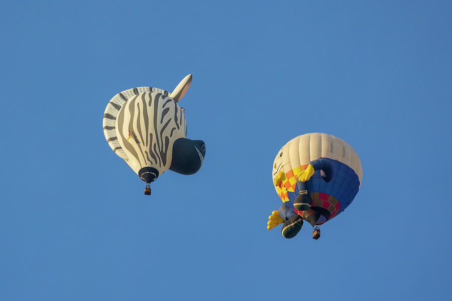 Humpty Dumpty and Zebra Balloon Photograph by Deborah Penland