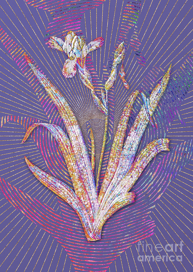 Hungarian Iris Mosaic Botanical Art on Veri Peri n.0194 Mixed Media by Holy Rock Design