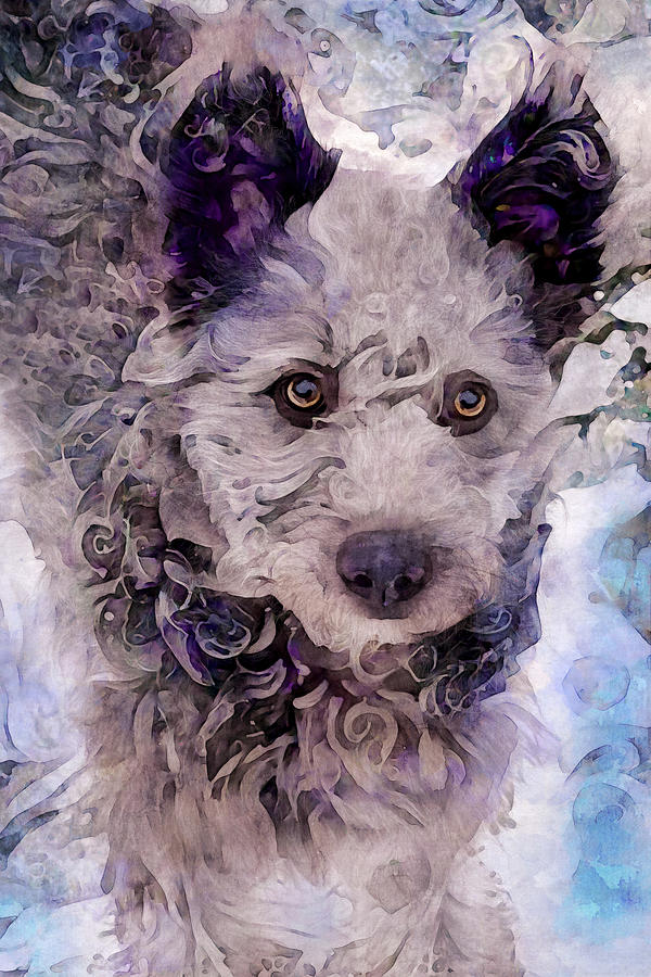 Hungarian Pumi Dog Portrait Digital Art by Peggy Collins
