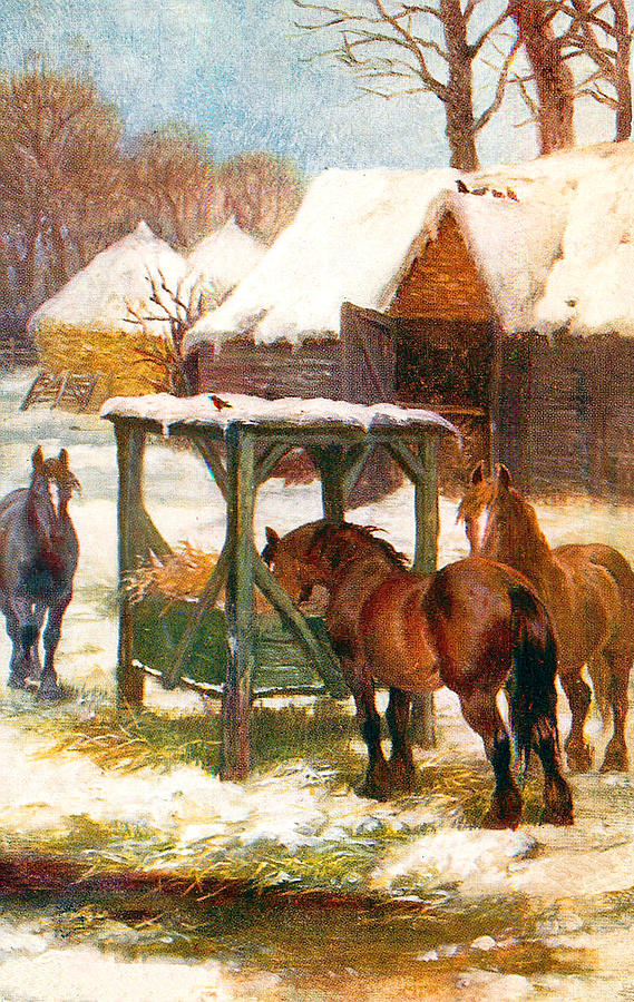 Hungry Horses on a Winter Day Digital Art by Long Shot