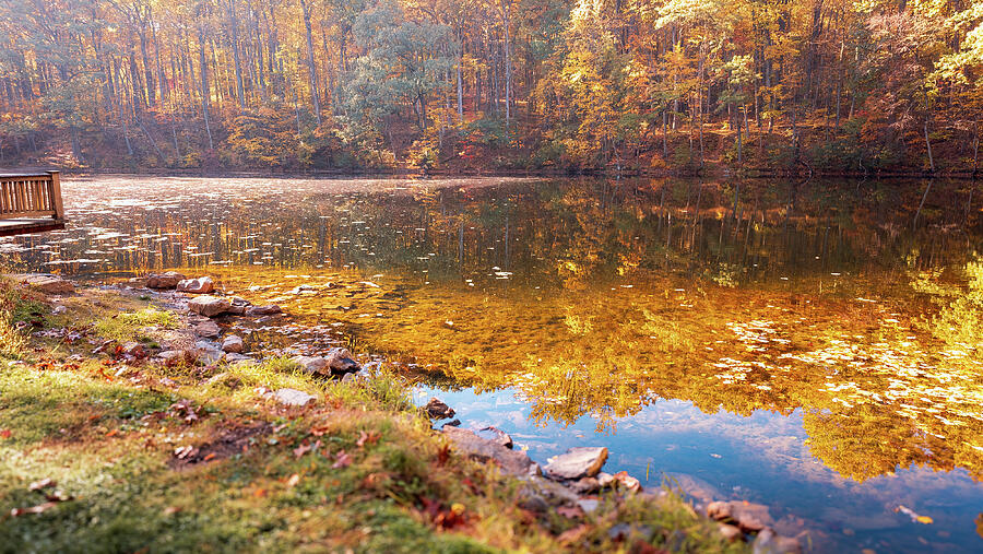 Autumn Reflections on Forest Lake Photograph - Hunsickers Grove Pond Autumn Reflections by Jason Fink