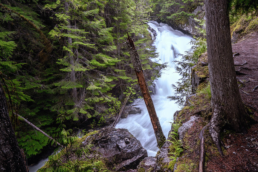 Hunt Creek Falls Photograph by Dan Eskelson