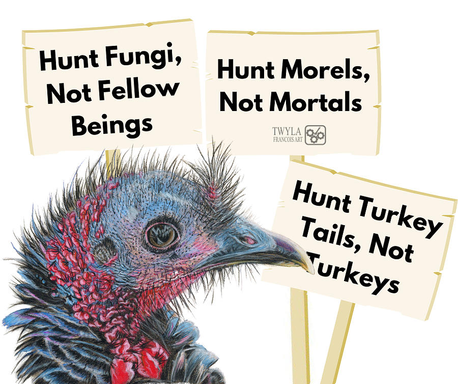 Hunt Turkey Tails Not Turkeys Drawing by Twyla Francois