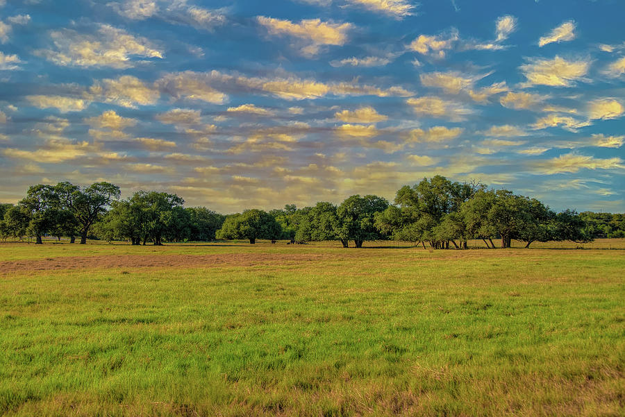 Hunter Texas Field Of Dreams Photograph
