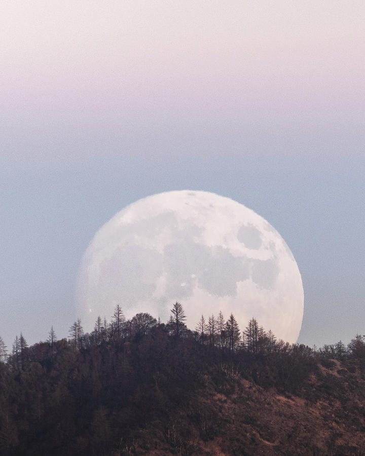 Hunters Moon Photograph by Shelby Erickson