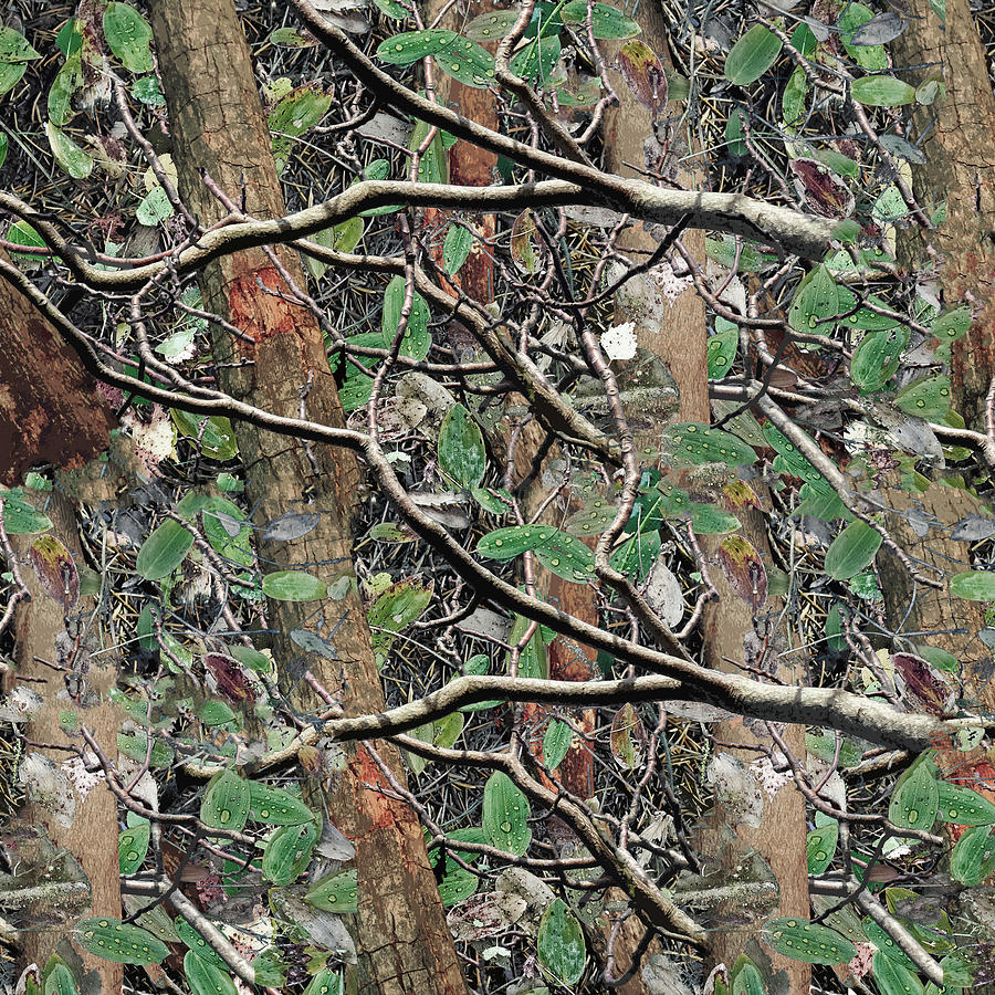Different Types Of Hunting Camouflage Patterns