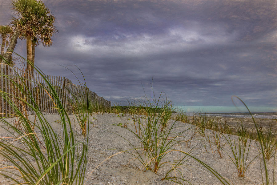 Hunting Island Beach, South Carolina Photograph by Marcy Wielfaert