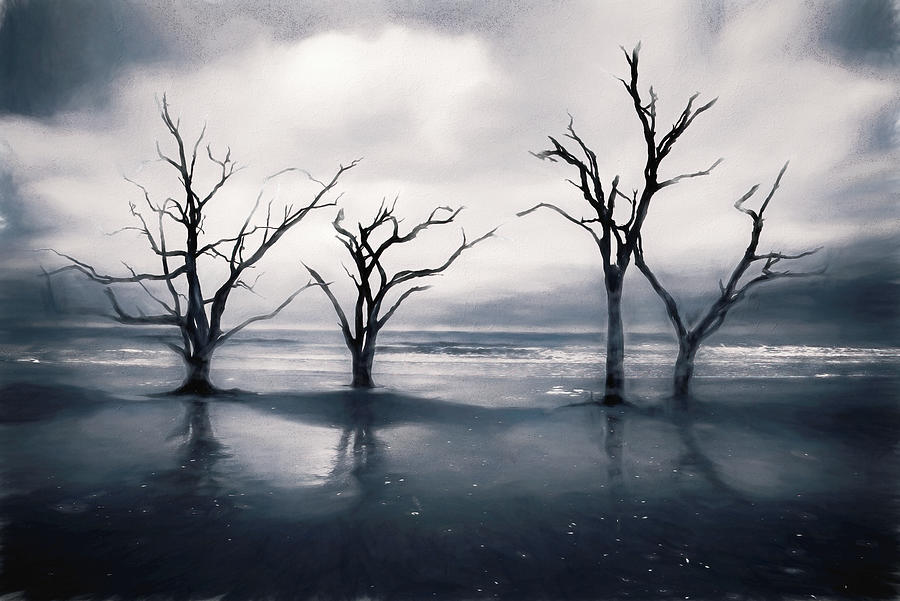 Hunting Island Dreamscape Photograph by Serge Skiba