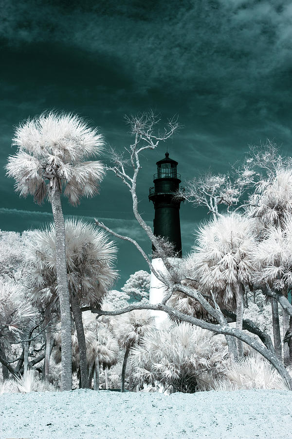 Hunting Island Lighthouse Photograph by Jenion Tyson - Fine Art America