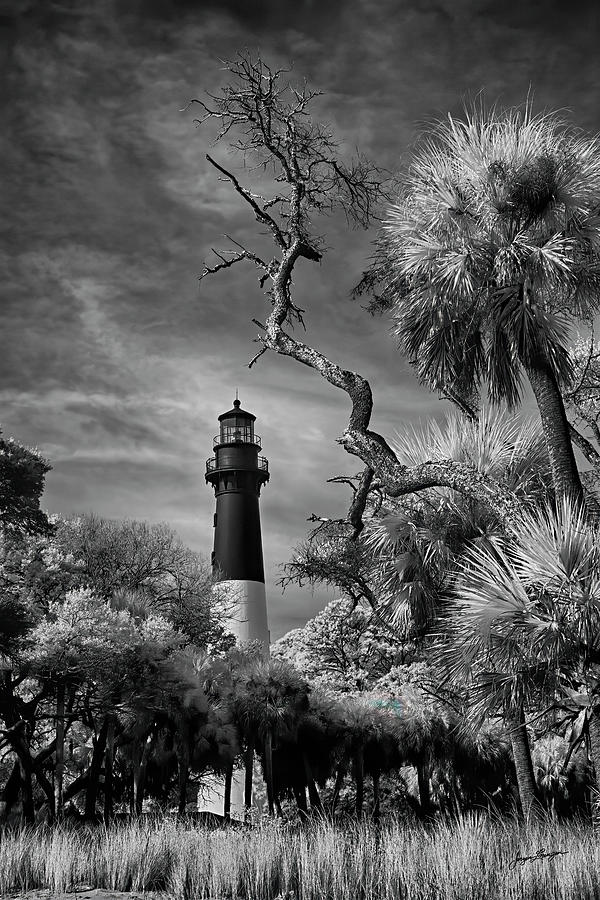 Hunting Island Lighthouse Photograph by Jurgen Lorenzen