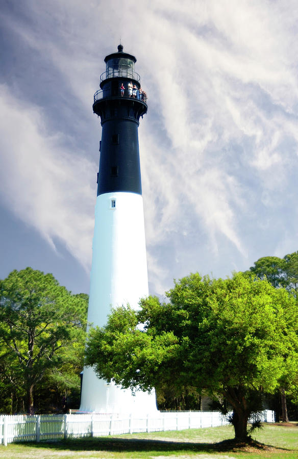 Hunting Island Lighthouse SC vertical Photograph by Bob Pardue