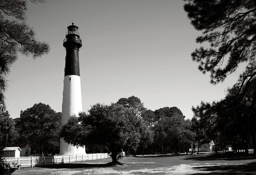 Hunting Island Lighthouse South Carolina bw Photograph by Bob Pardue