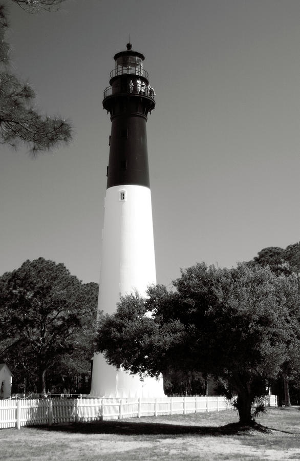 Hunting Island Lighthouse South Carolina bw vertical Photograph by Bob Pardue