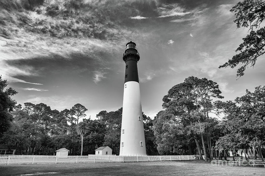 Hunting Island Lighthouse Under Blue Skies - BW Photograph by Scott Pellegrin