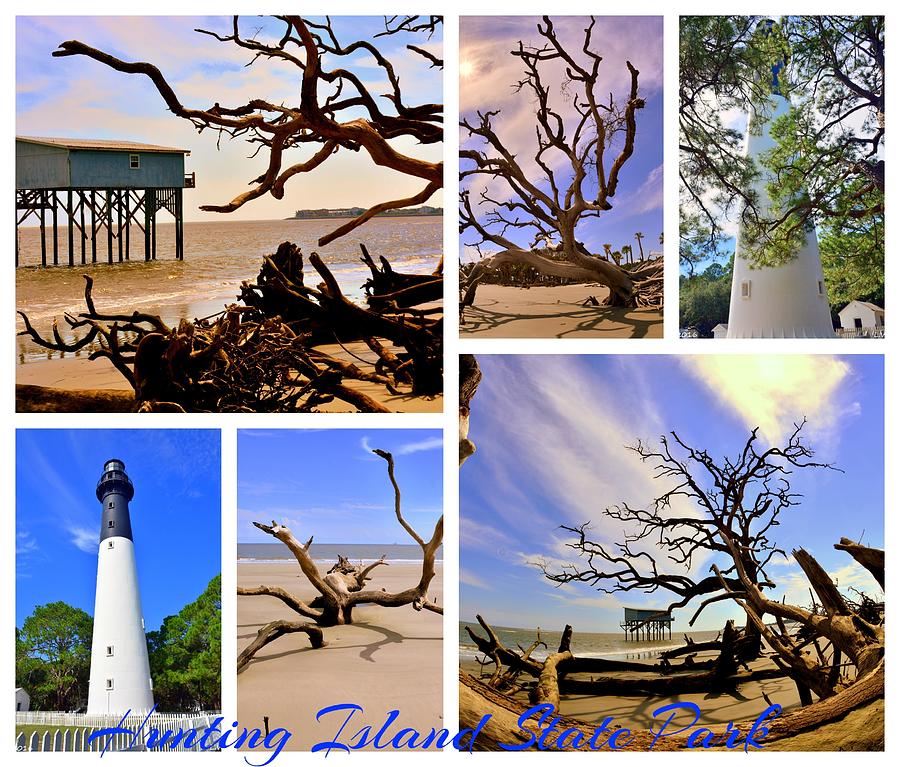 Hunting Island State Park Collage Photograph by Lisa Wooten