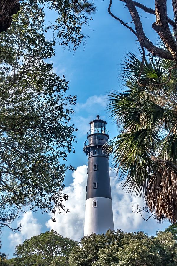 Hunting Island State Park lighthouse Photograph by Alex Grichenko