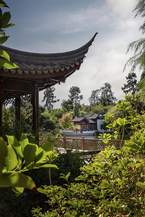 Huntington Chinese Garden Photograph by Lars Mikkelsen