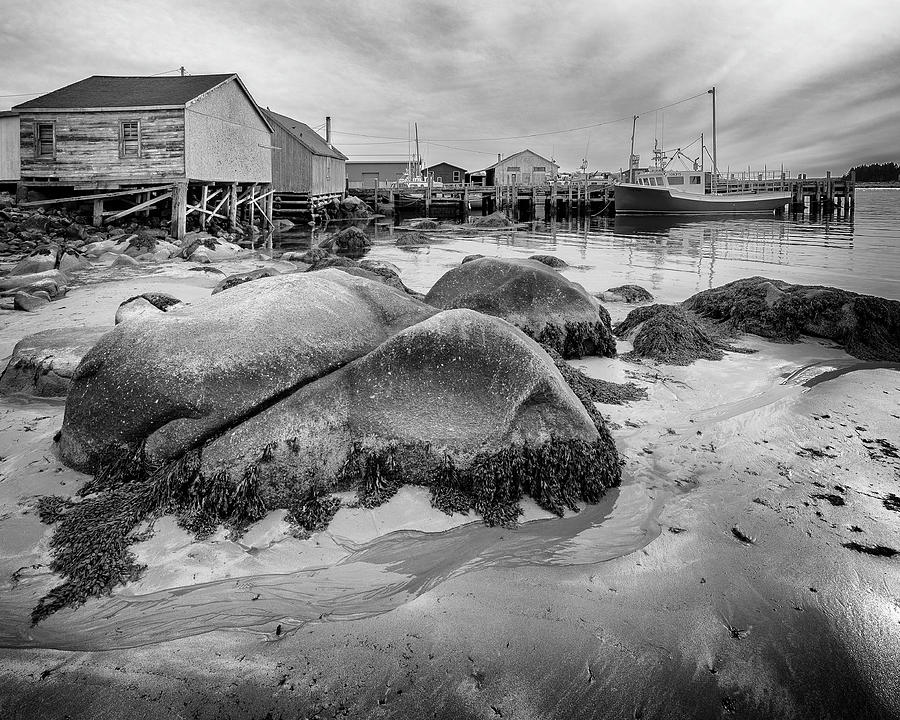 Hunts Point, Nova Scotia harbour Photograph by Murray Rudd