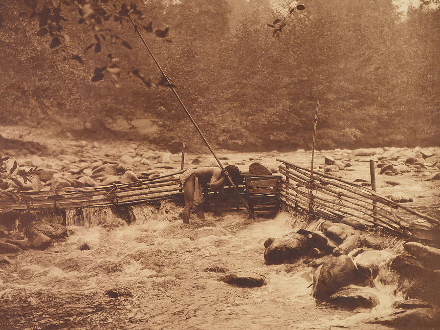 Hupa Trout-Trap 1923 Photograph by Edward S Curtis Hupa Trout-Trap 1923 Photograph by Edward S Curtis