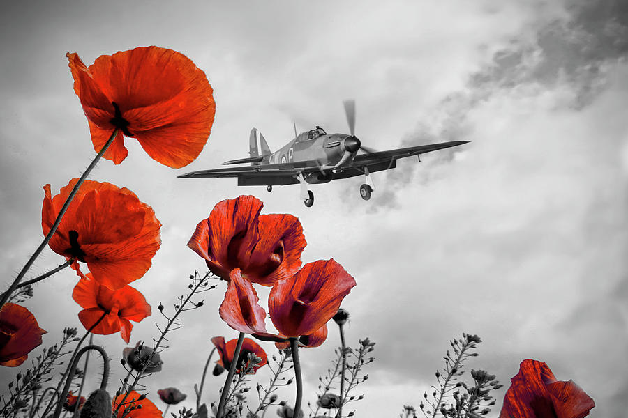 Hurricane Poppy Fly Past Red Digital Art by Airpower Art